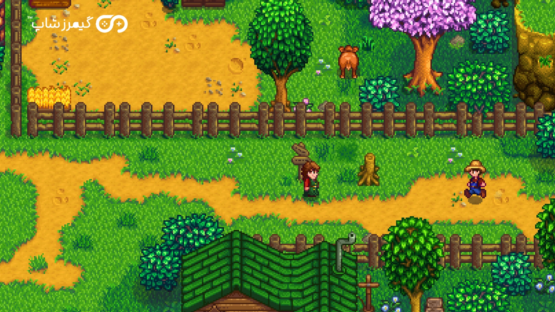  Stardew Valley